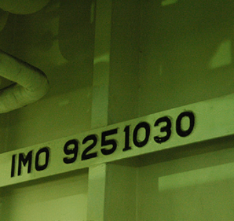 What is IMO number?